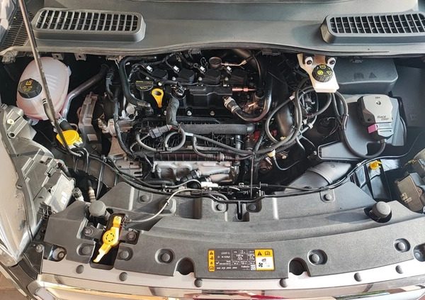 Ford Kuga cena 75900 przebieg: 76810, rok produkcji 2019 z Ogrodzieniec małe 631